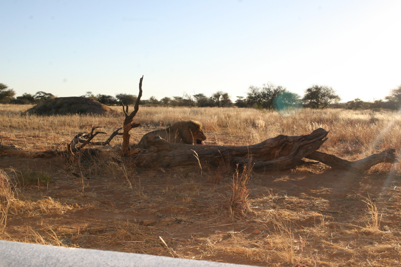 [8489] 2016_06_23_11_54_32_Africa_Canon_EOS_30D_IMG_1932_00376.jpg