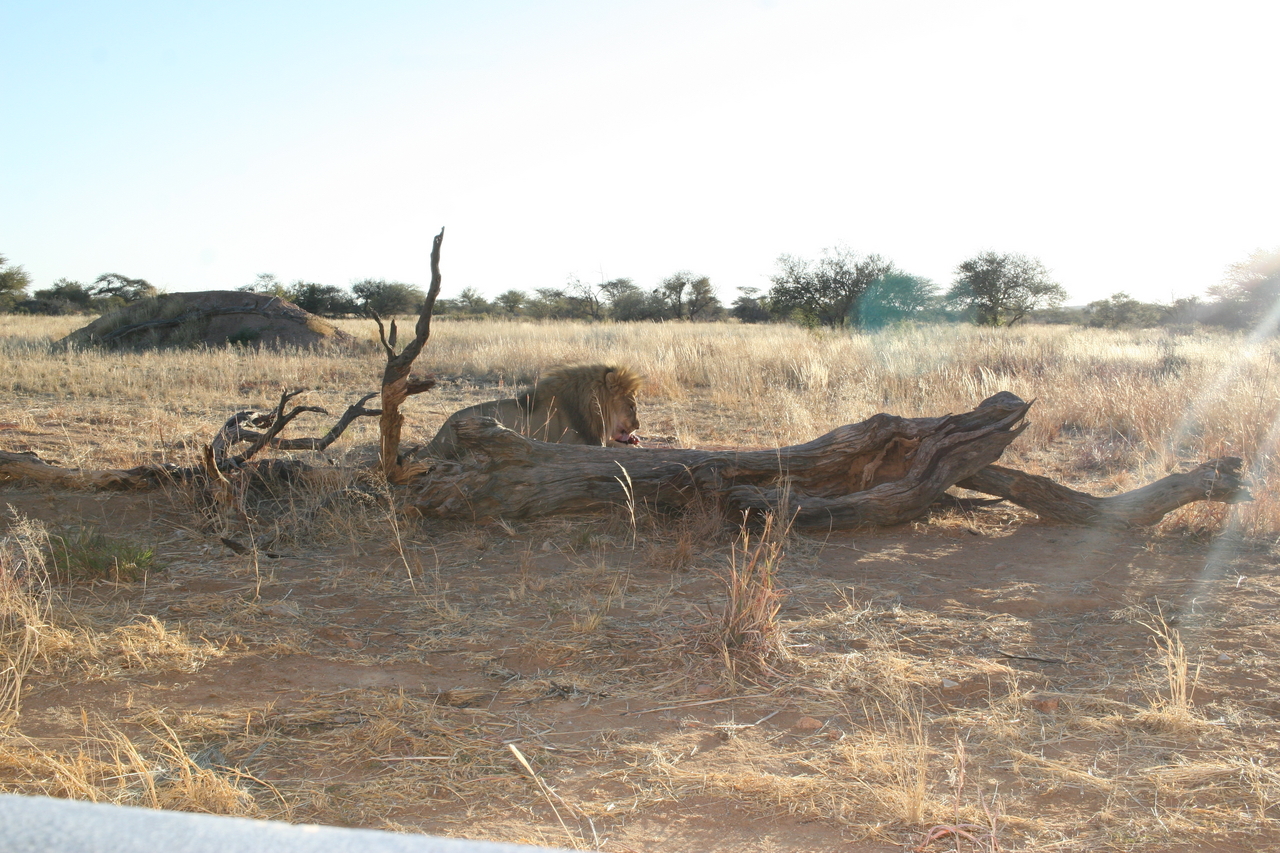 [8668] 2016_06_23_11_55_40_Africa_Canon_EOS_30D_IMG_1936_00380.jpg