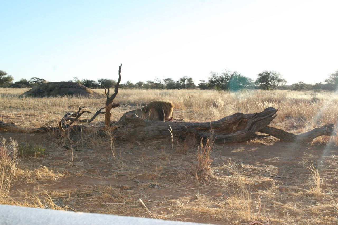 [8679] 2016_06_23_11_56_03_Africa_Canon_EOS_30D_IMG_1937_00381.jpg