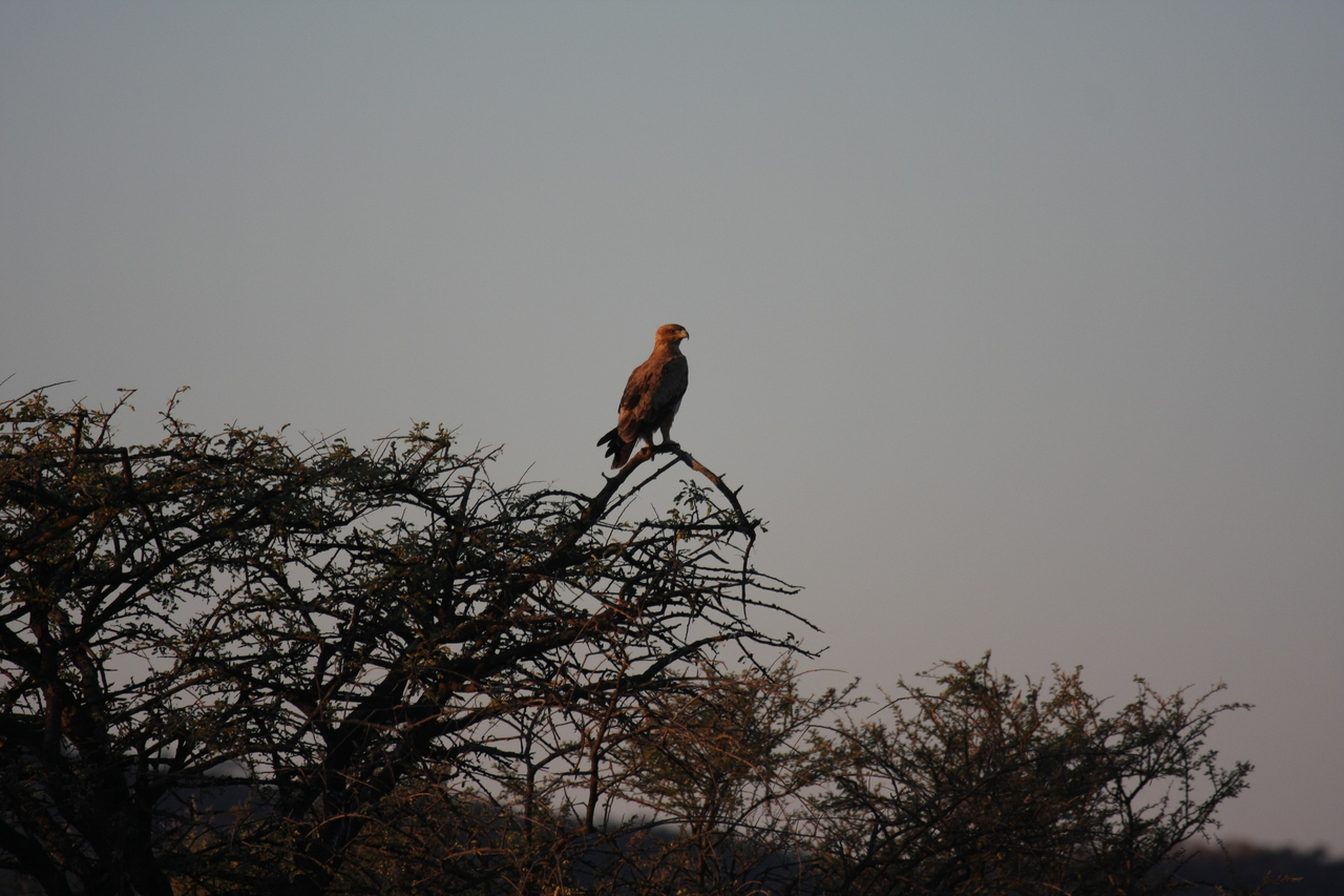 [3380] 2016_06_22_12_07_28_Africa_Canon_EOS_40D_IMG__00796.jpg