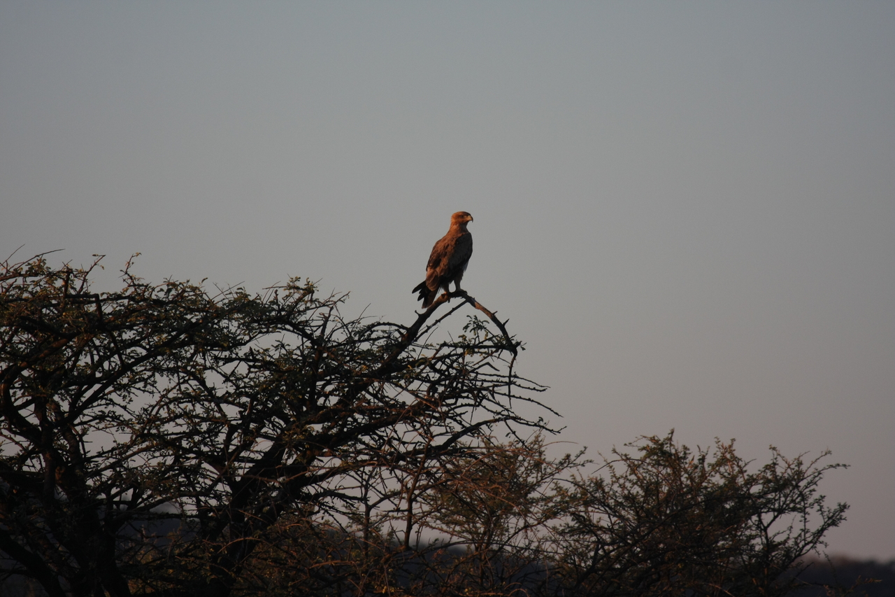 [3382] 2016_06_22_12_07_28_Africa_Canon_EOS_40D_IMG__00798.jpg