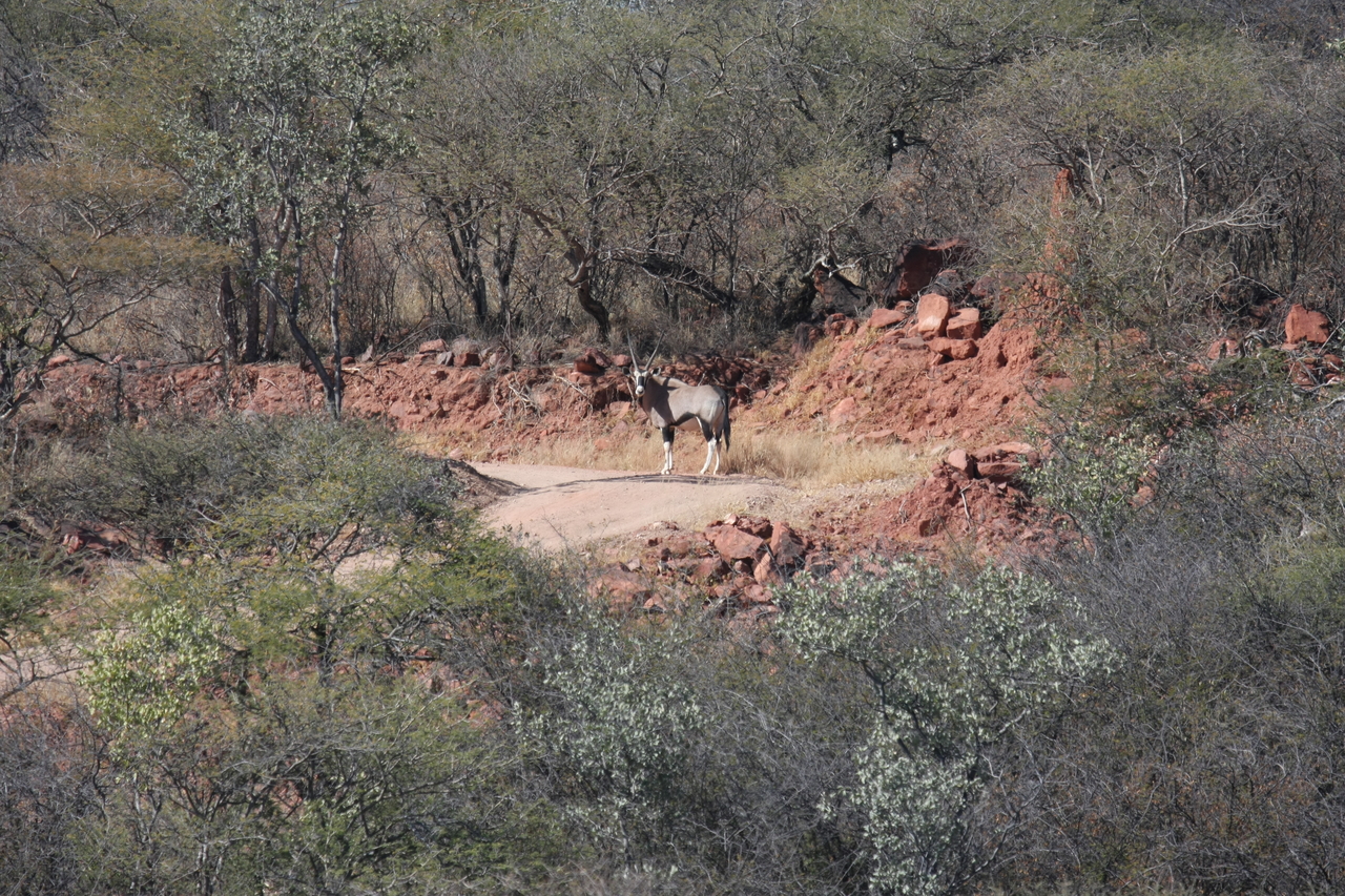 [5020] 2016_06_23_05_23_35_Africa_Canon_EOS_40D_IMG__00956.jpg