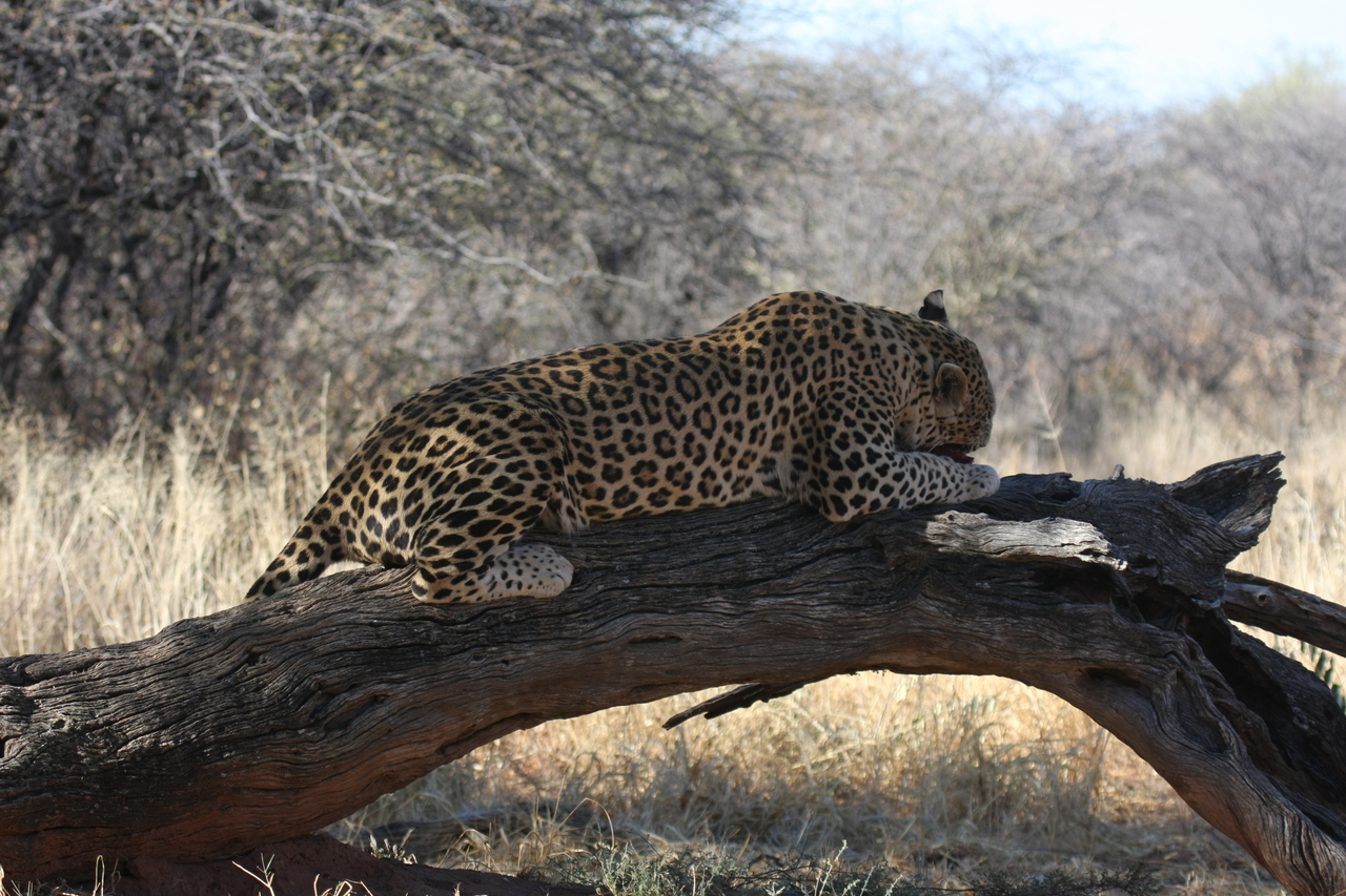 [5606] 2016_06_23_10_18_42_Africa_Canon_EOS_40D_IMG__00195.jpg