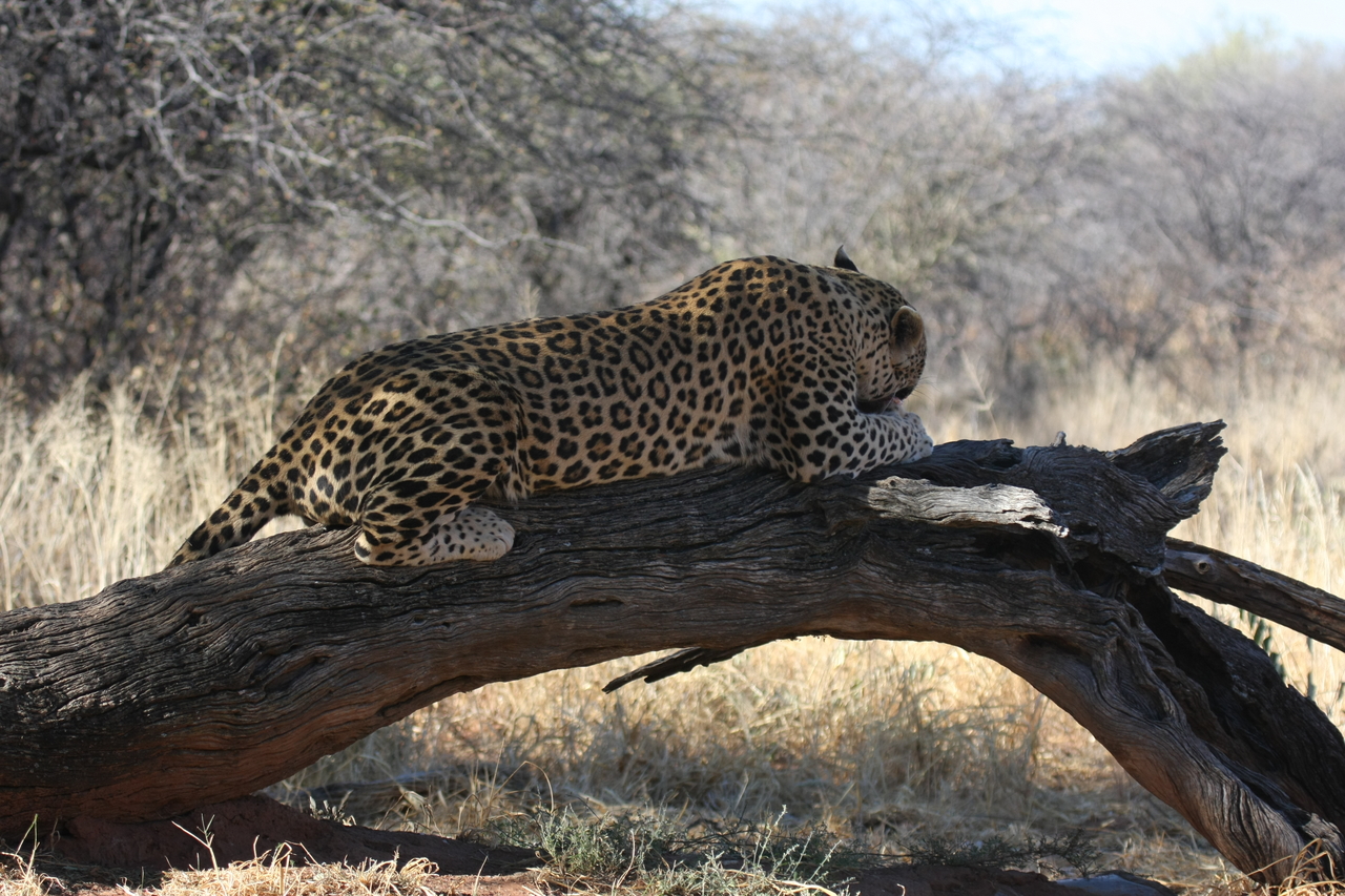 [5615] 2016_06_23_10_19_11_Africa_Canon_EOS_40D_IMG__01032.jpg