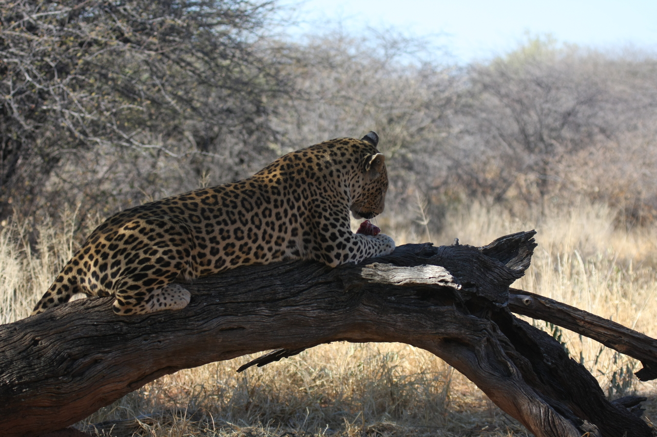 [5619] 2016_06_23_10_20_19_Africa_Canon_EOS_40D_IMG__01033.jpg