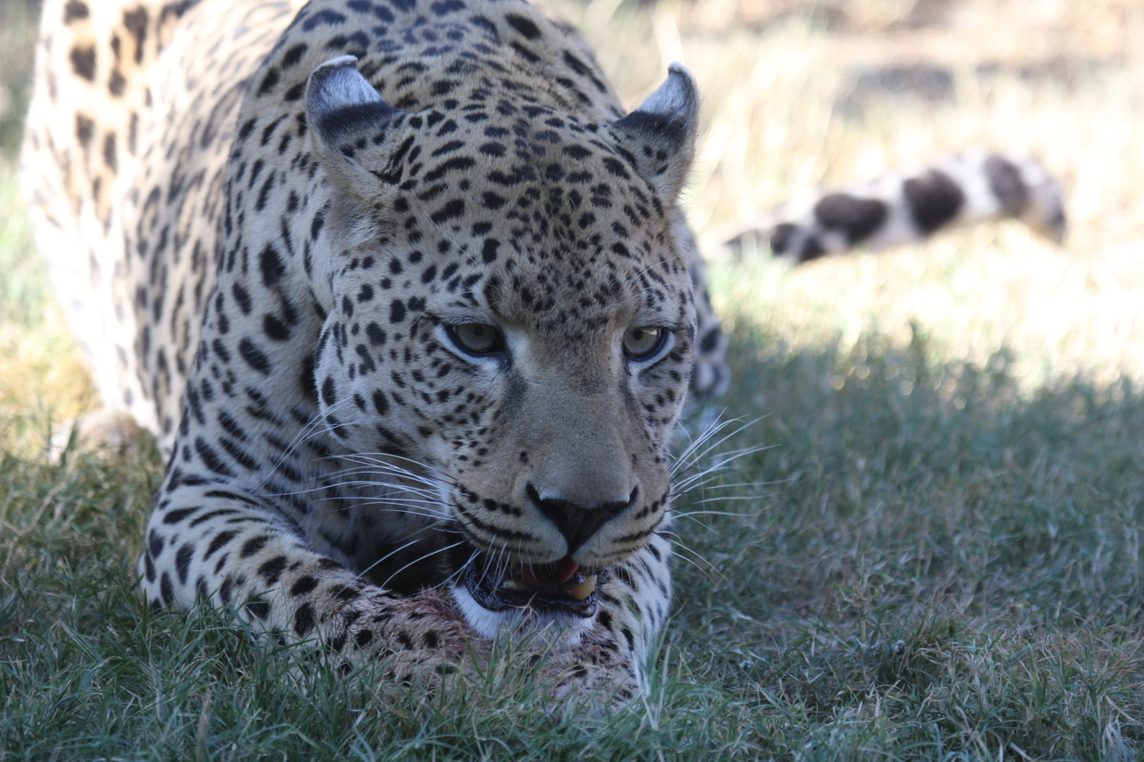 [5886] 2016_06_23_10_27_32_Africa_Canon_EOS_40D_IMG__01114.jpg