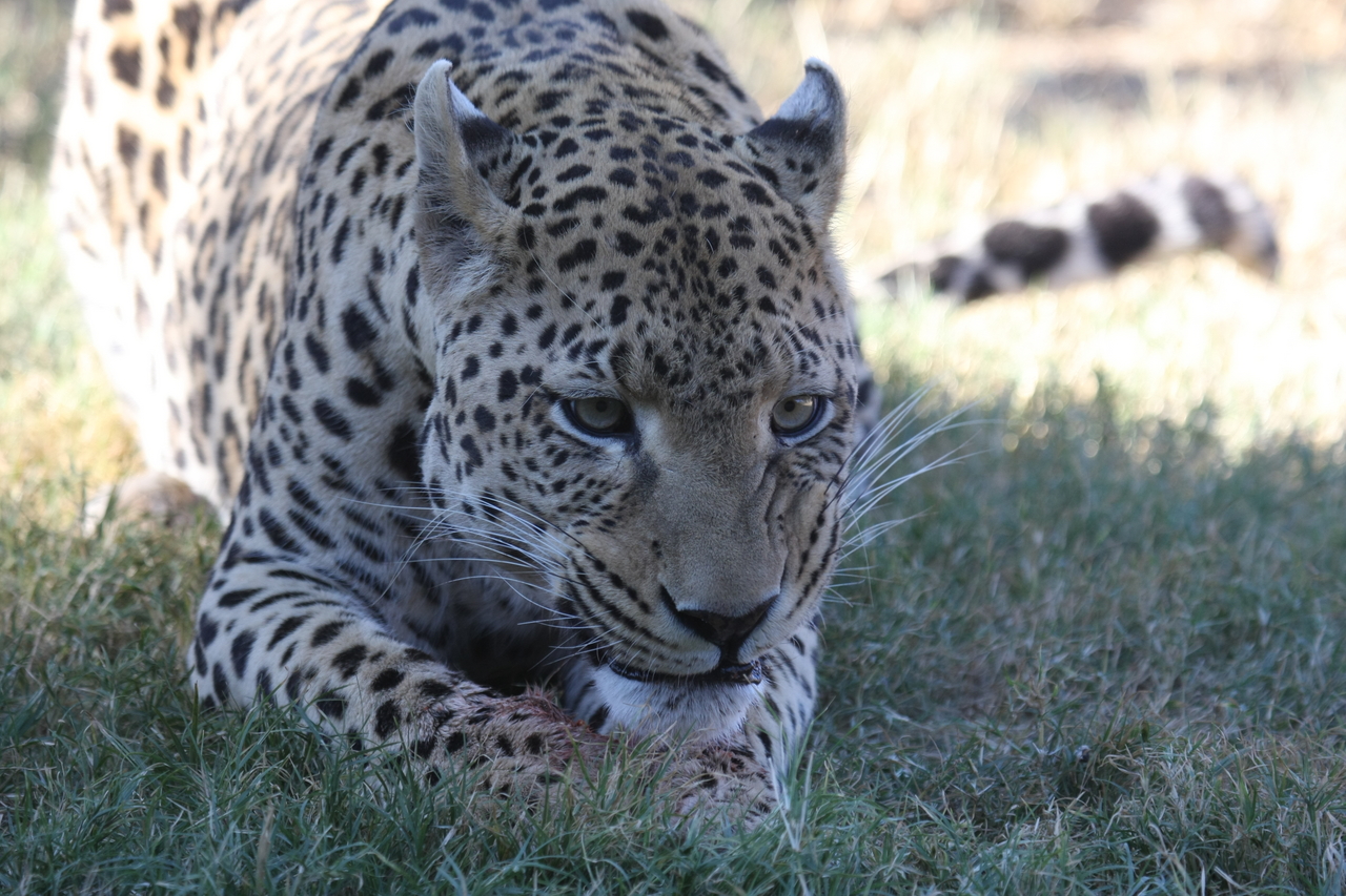 [5891] 2016_06_23_10_27_33_Africa_Canon_EOS_40D_IMG__00282.jpg