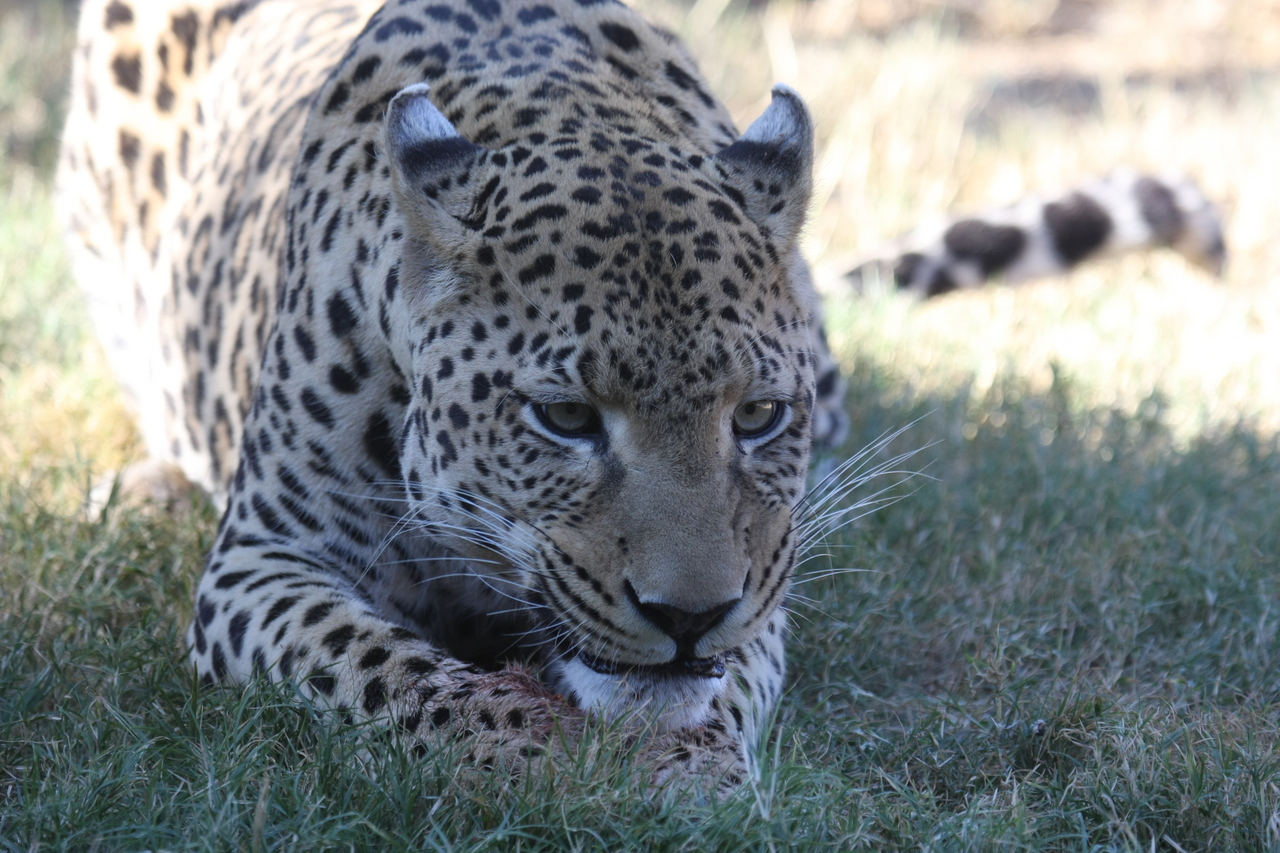 [5894] 2016_06_23_10_27_33_Africa_Canon_EOS_40D_IMG__08562.jpg