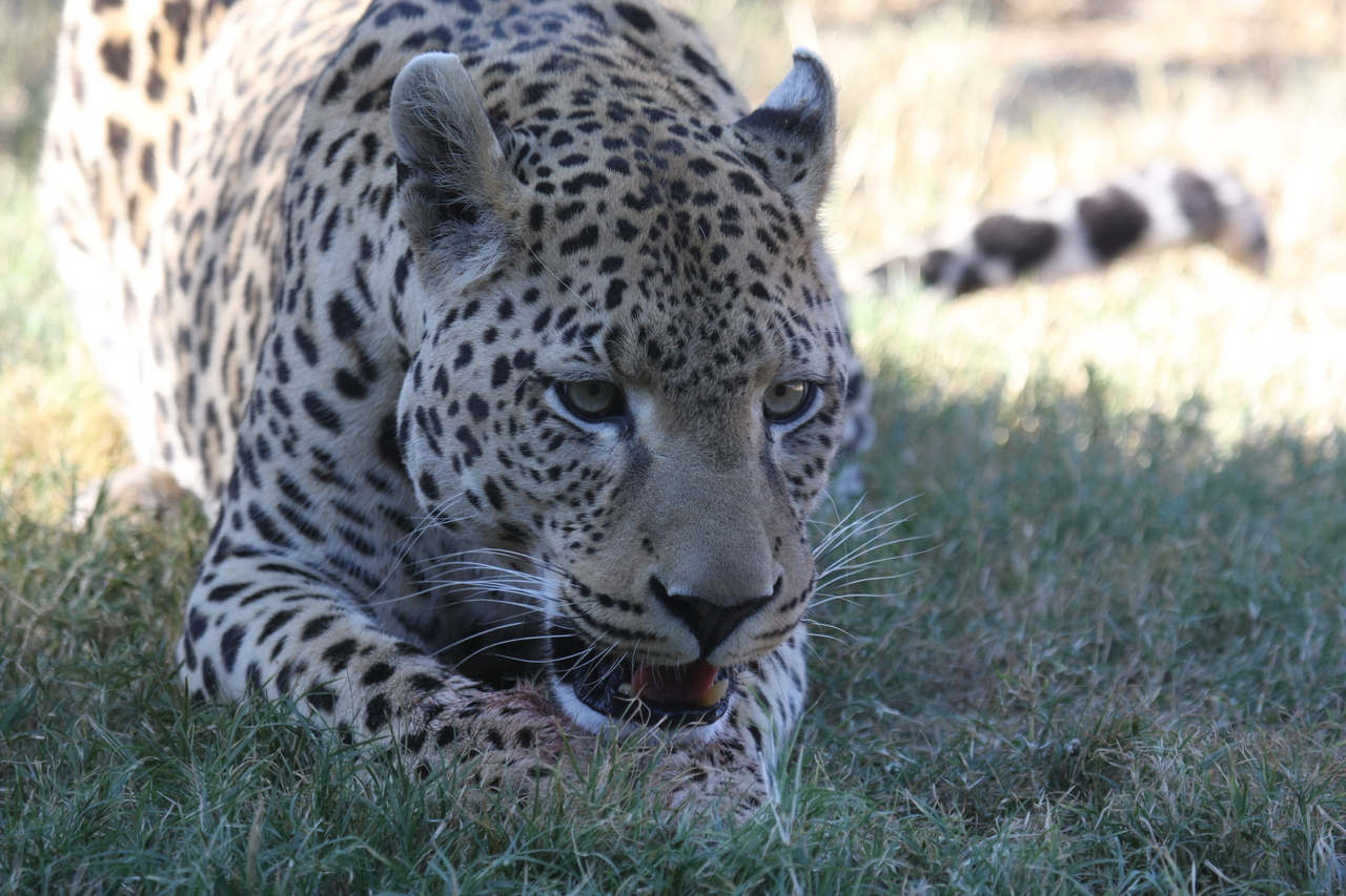 [5896] 2016_06_23_10_27_34_Africa_Canon_EOS_40D_IMG__00283.jpg