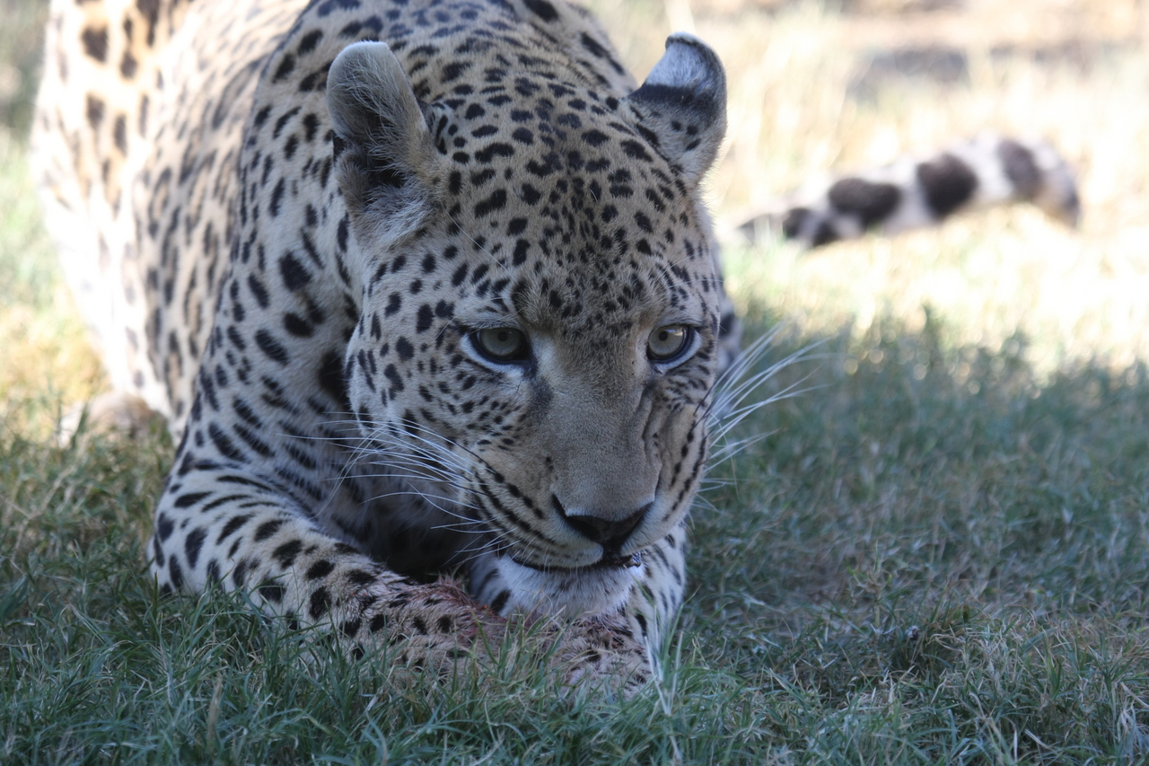 [5900] 2016_06_23_10_27_34_Africa_Canon_EOS_40D_IMG__01118.jpg