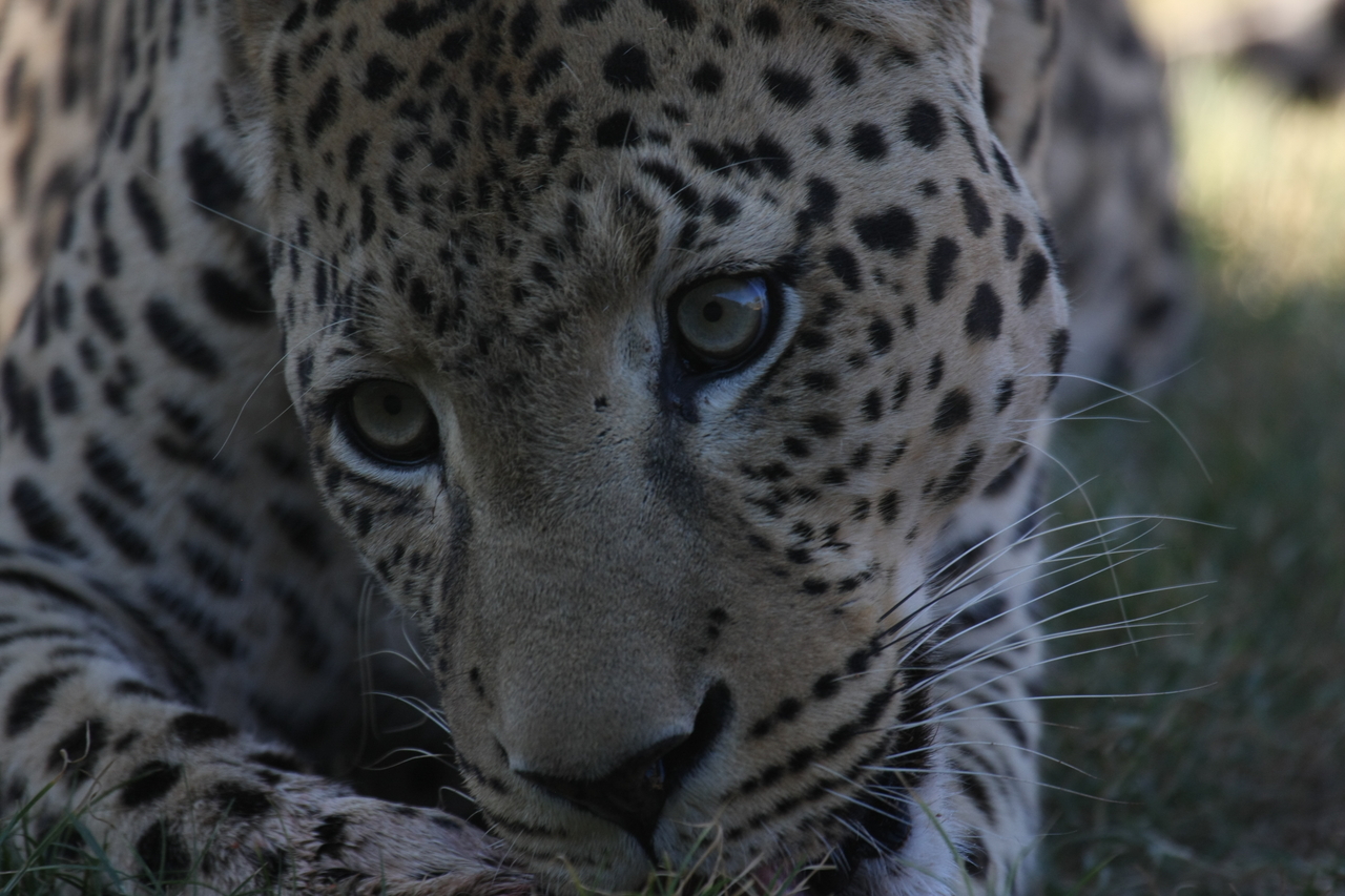 [5939] 2016_06_23_10_27_52_Africa_Canon_EOS_40D_IMG__08577.jpg