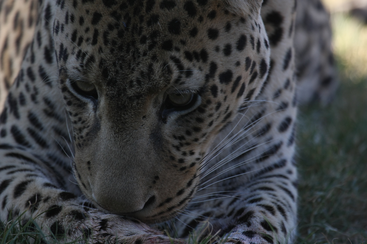 [5946] 2016_06_23_10_27_53_Africa_Canon_EOS_40D_IMG__01134.jpg