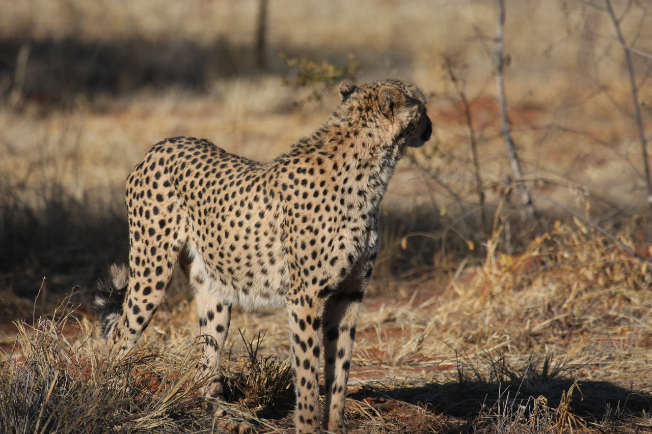 [6404] 2016_06_23_10_49_17_Africa_Canon_EOS_40D_IMG__01217.jpg