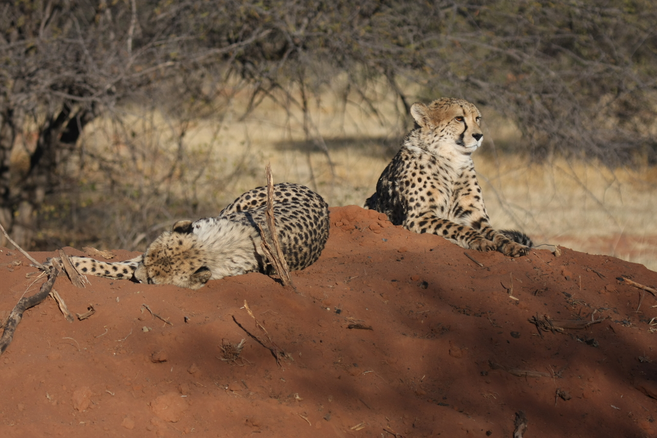 [7014] 2016_06_23_11_08_21_Africa_Canon_EOS_40D_IMG__00565.jpg