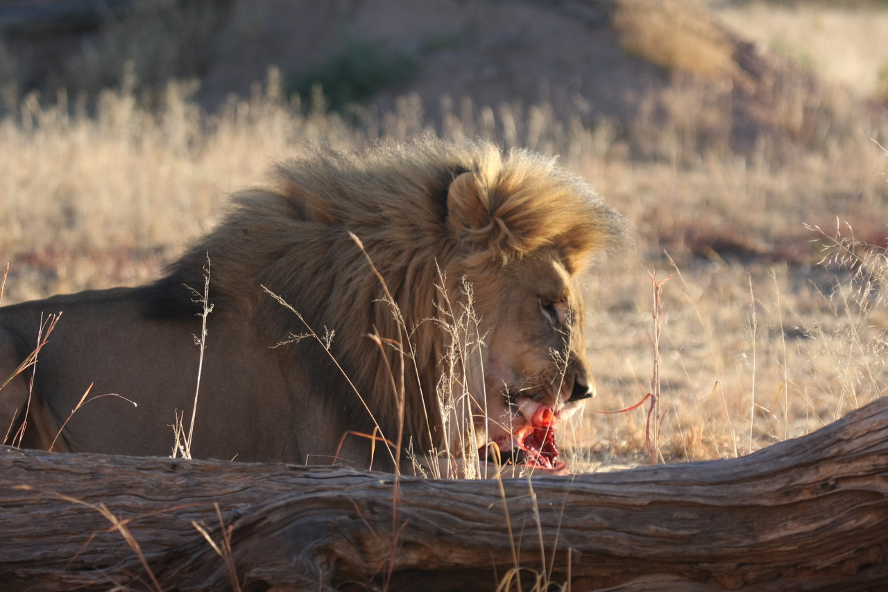 [7442] 2016_06_23_11_40_44_Africa_Canon_EOS_40D_IMG__00691.jpg