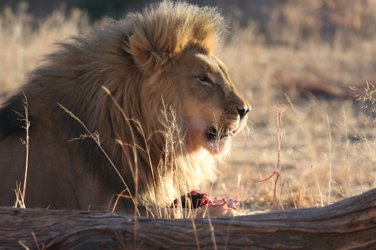 [7452] 2016_06_23_11_40_47_Africa_Canon_EOS_40D_IMG__08974.jpg