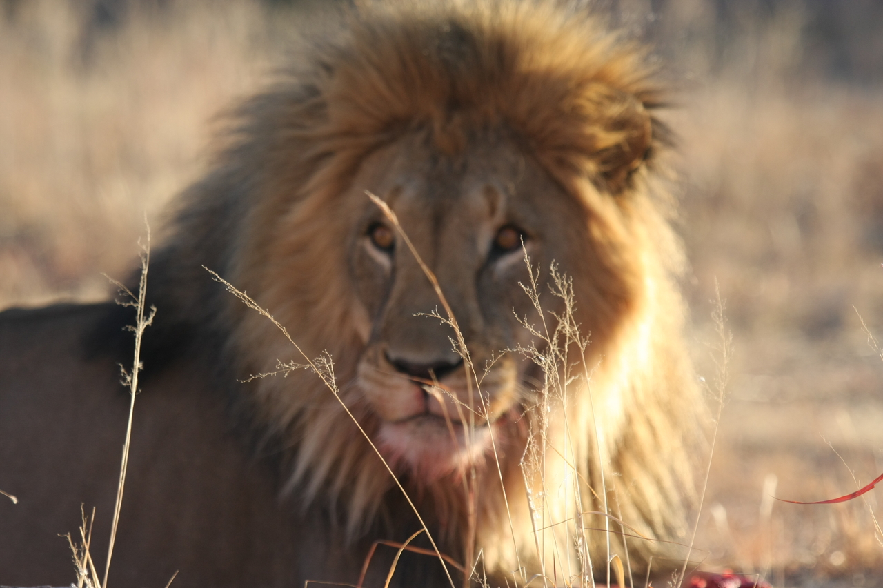 [7845] 2016_06_23_11_46_24_Africa_Canon_EOS_40D_IMG__01054.jpg