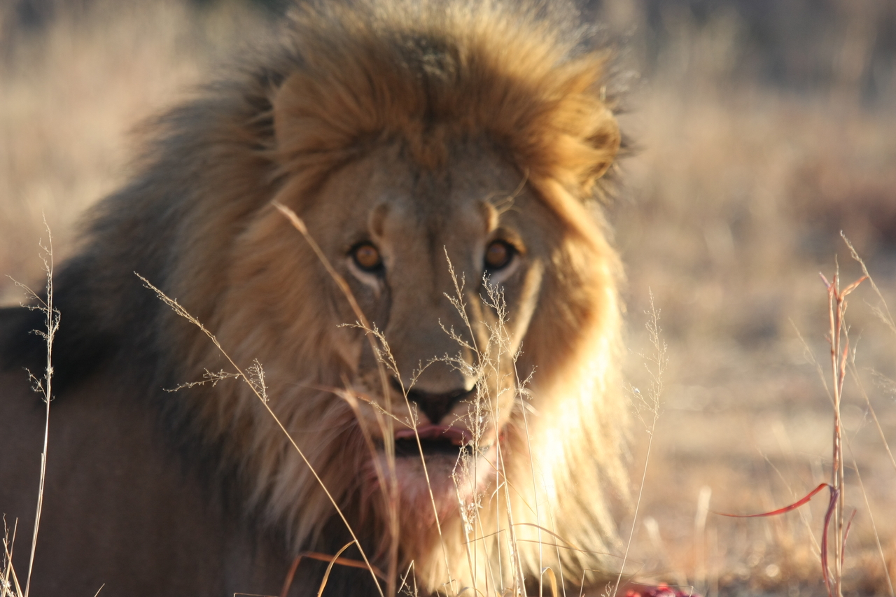 [7858] 2016_06_23_11_46_25_Africa_Canon_EOS_40D_IMG__01890.jpg