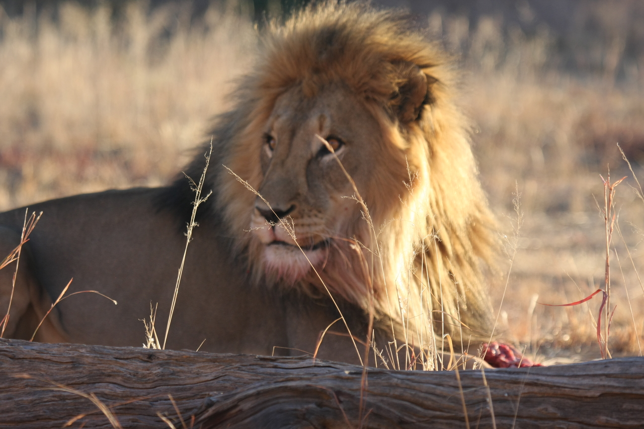 [7870] 2016_06_23_11_47_20_Africa_Canon_EOS_40D_IMG__01062.jpg