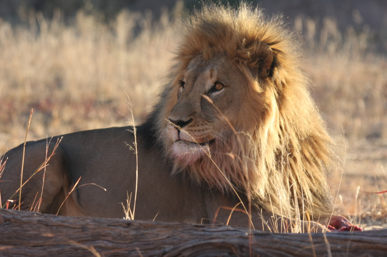 [7872] 2016_06_23_11_47_20_Africa_Canon_EOS_40D_IMG__01064.jpg