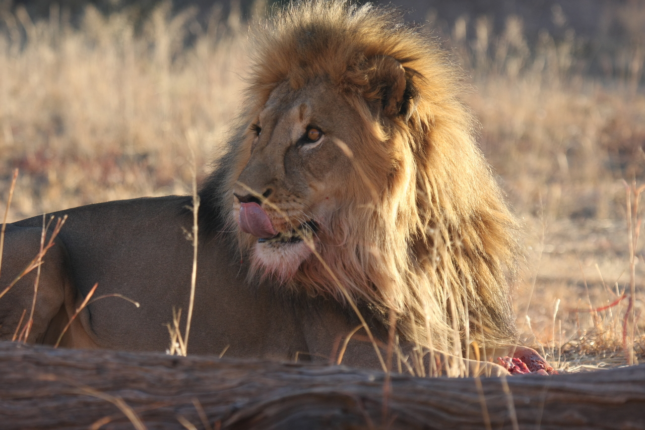 [7874] 2016_06_23_11_47_20_Africa_Canon_EOS_40D_IMG__01897.jpg