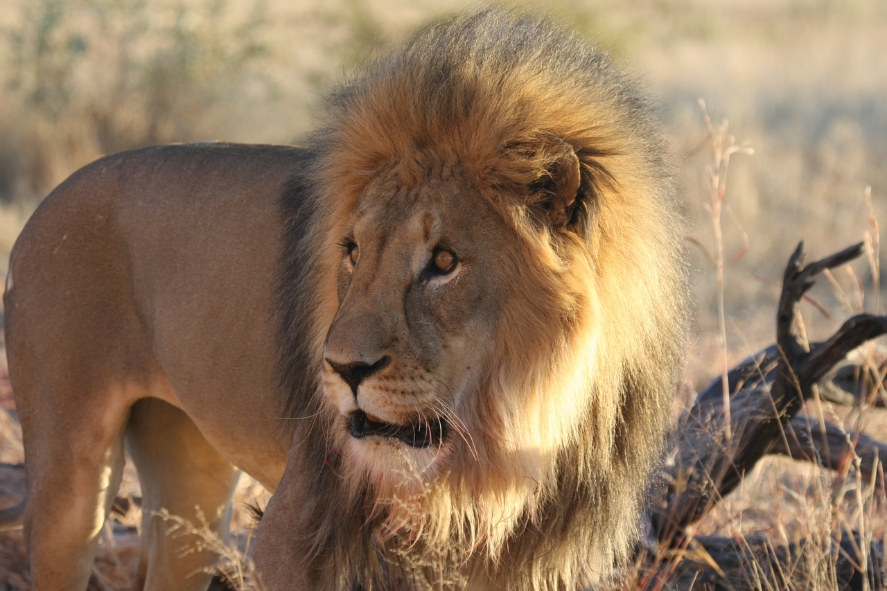 [8299] 2016_06_23_11_53_33_Africa_Canon_EOS_40D_IMG__09158.jpg