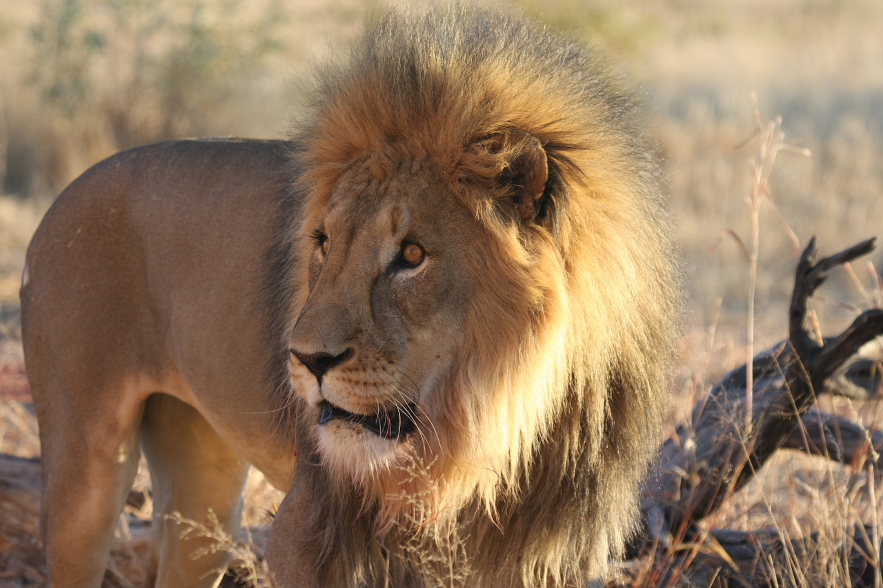 [8301] 2016_06_23_11_53_33_Africa_Canon_EOS_40D_IMG__09160.jpg