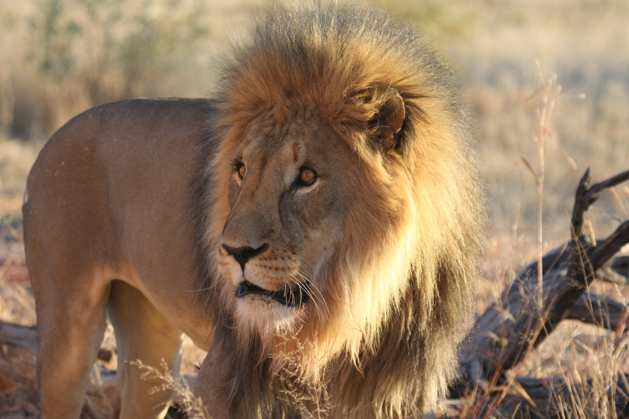 [8302] 2016_06_23_11_53_34_Africa_Canon_EOS_40D_IMG__00880.jpg