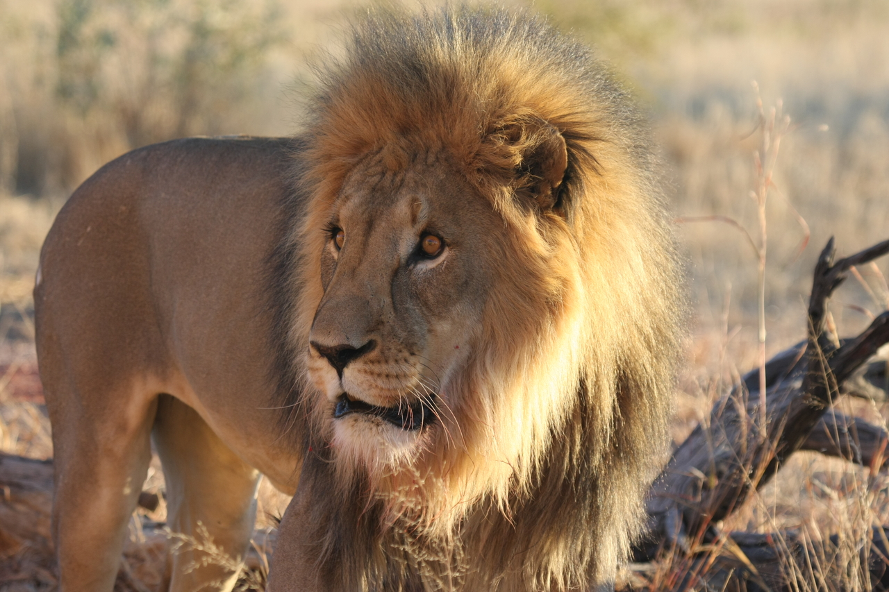 [8307] 2016_06_23_11_53_34_Africa_Canon_EOS_40D_IMG__09162.jpg