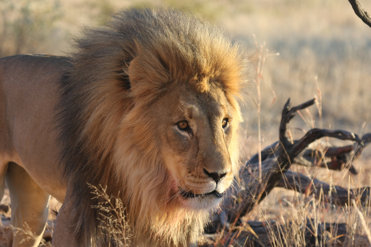 [8308] 2016_06_23_11_53_35_Africa_Canon_EOS_40D_IMG__00882.jpg