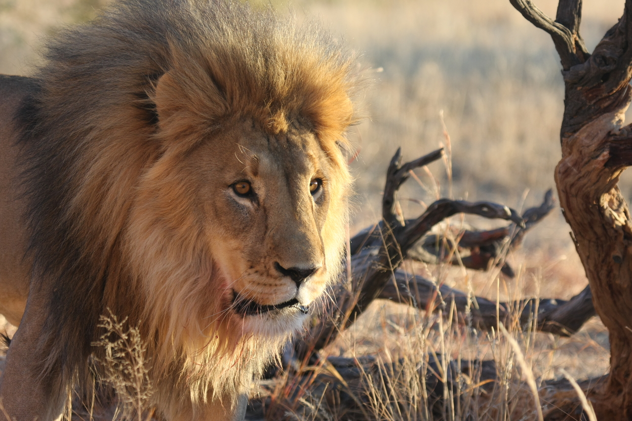 [8312] 2016_06_23_11_53_36_Africa_Canon_EOS_40D_IMG__00884.jpg