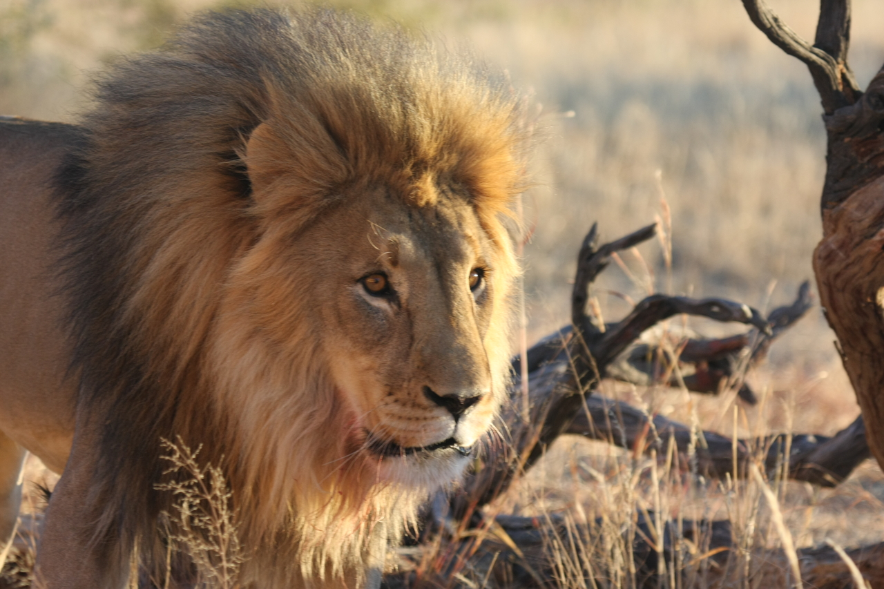 [8315] 2016_06_23_11_53_36_Africa_Canon_EOS_40D_IMG__09164.jpg