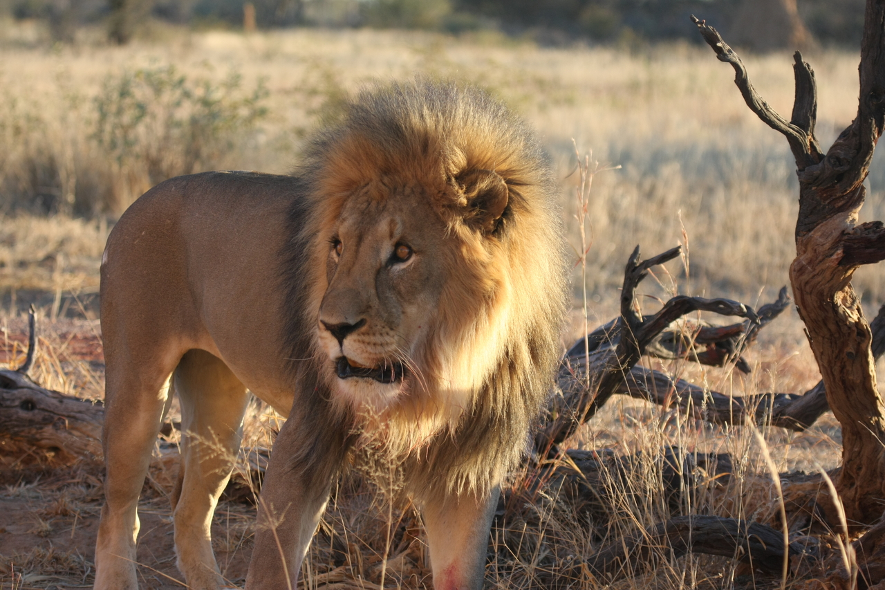 [8318] 2016_06_23_11_53_40_Africa_Canon_EOS_40D_IMG__00886.jpg