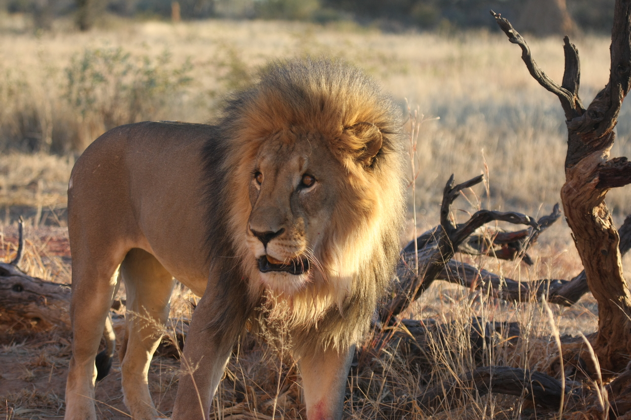 [8319] 2016_06_23_11_53_40_Africa_Canon_EOS_40D_IMG__01719.jpg