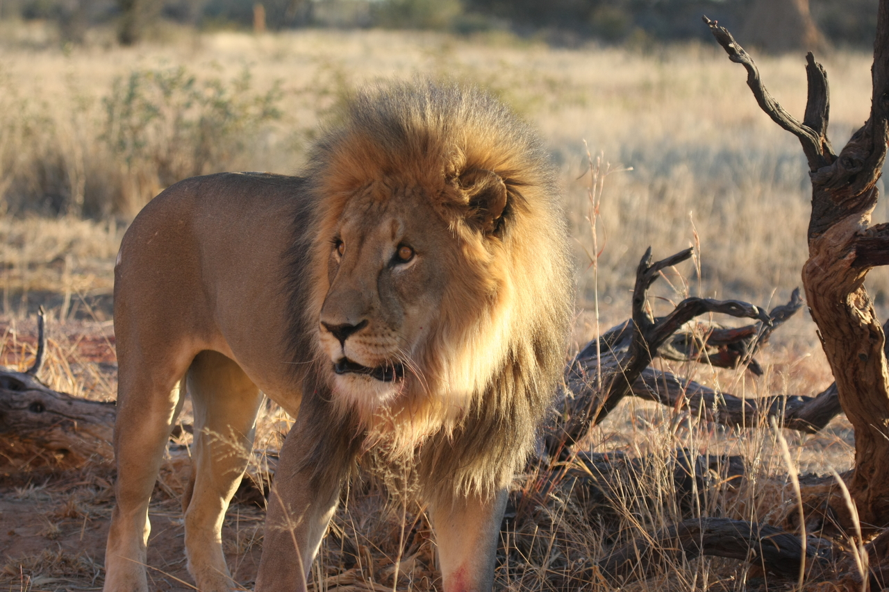 [8325] 2016_06_23_11_53_41_Africa_Canon_EOS_40D_IMG__01722.jpg