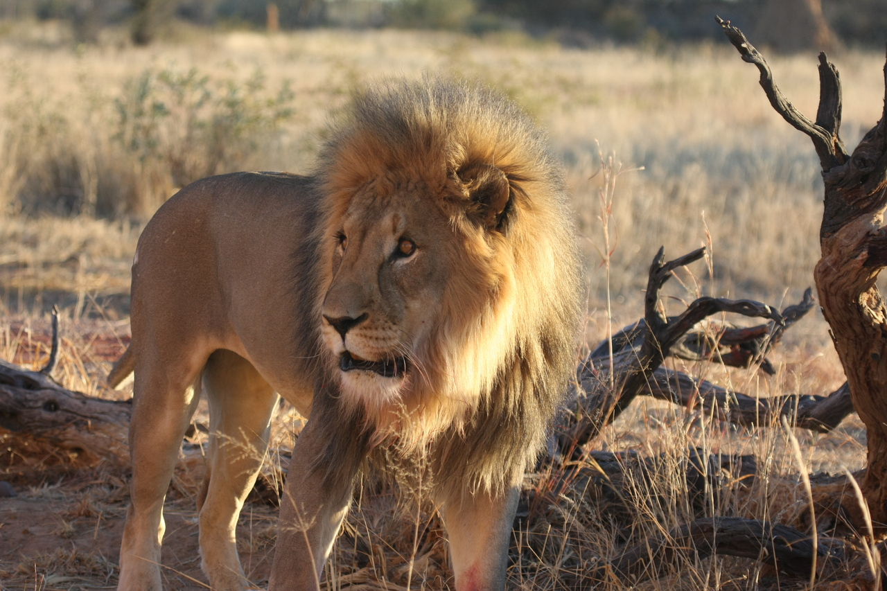 [8326] 2016_06_23_11_53_41_Africa_Canon_EOS_40D_IMG__01723.jpg