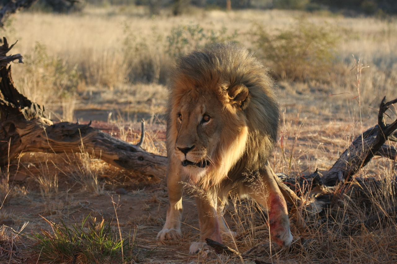 [8330] 2016_06_23_11_53_45_Africa_Canon_EOS_40D_IMG__00891.jpg