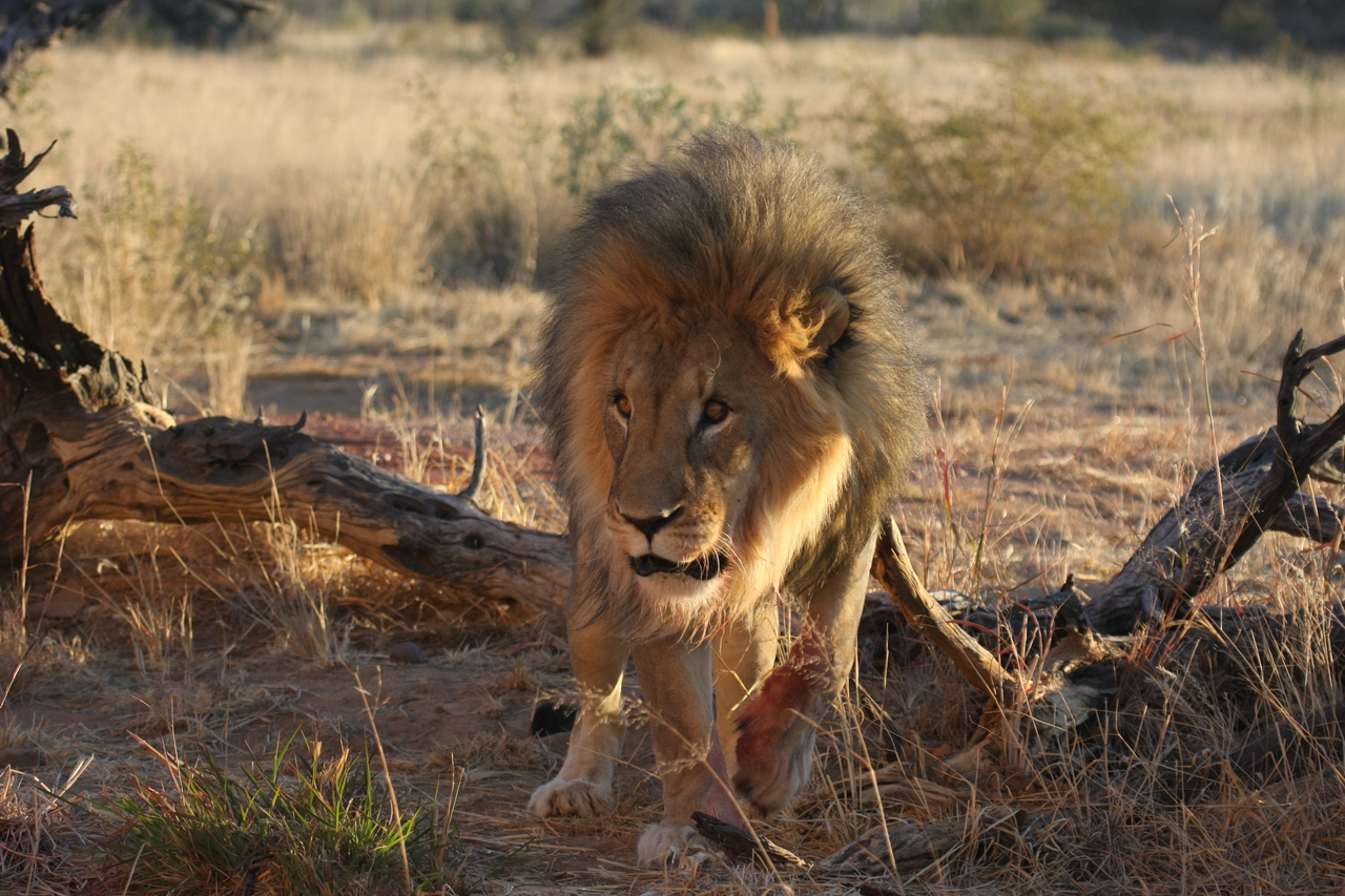 [8331] 2016_06_23_11_53_45_Africa_Canon_EOS_40D_IMG__00892.jpg