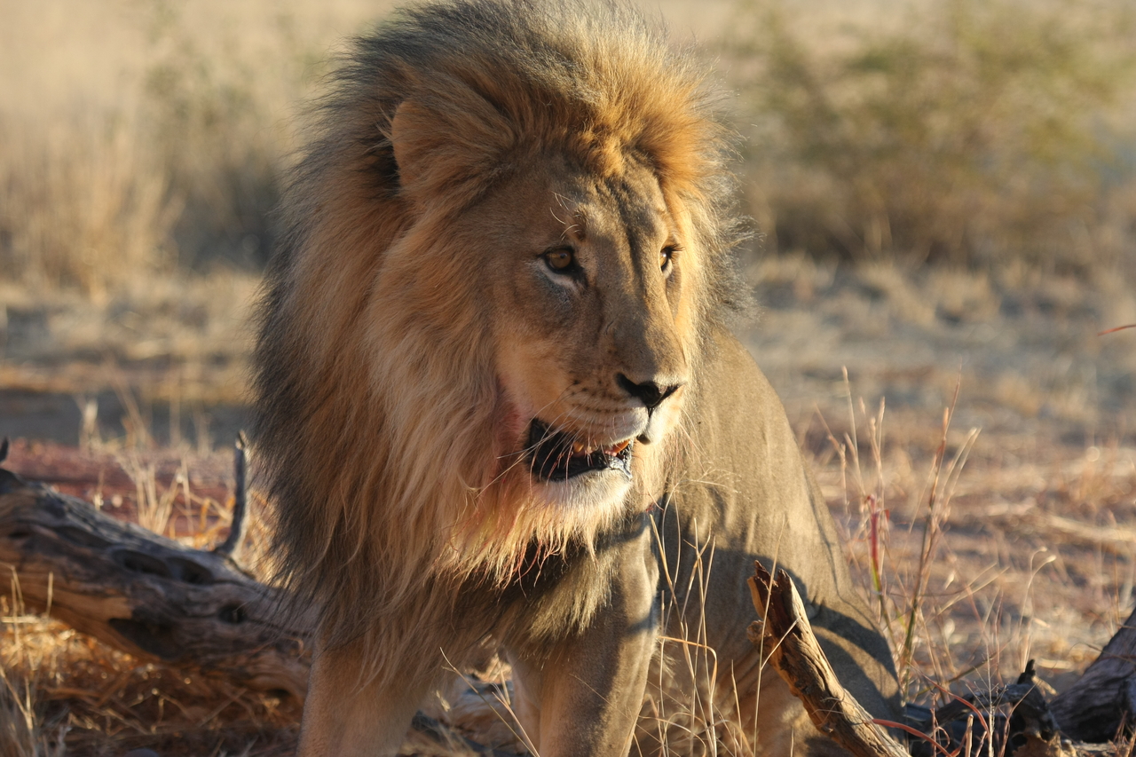 [8478] 2016_06_23_11_54_29_Africa_Canon_EOS_40D_IMG__09218.jpg