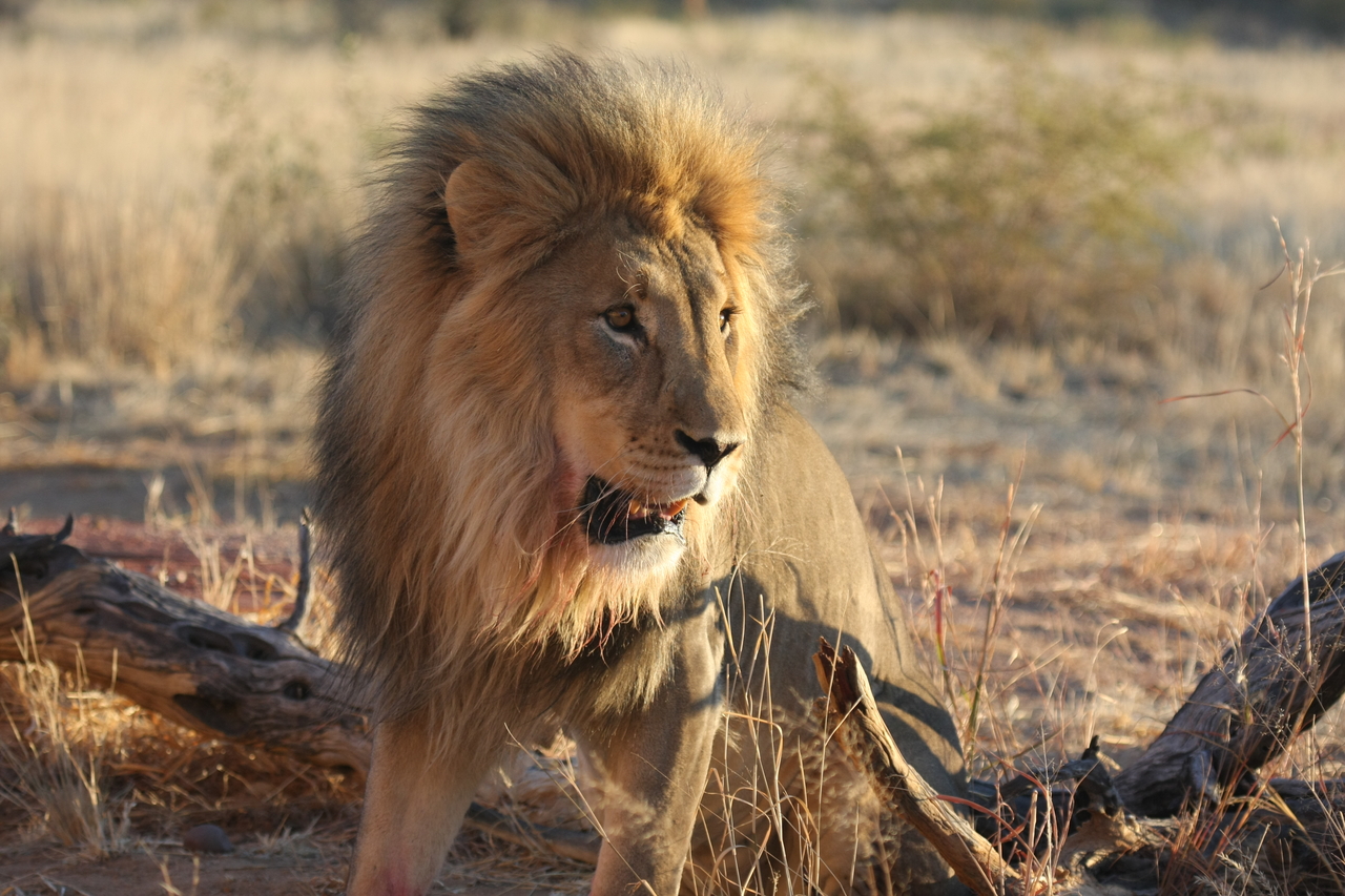 [8483] 2016_06_23_11_54_31_Africa_Canon_EOS_40D_IMG__00940.jpg