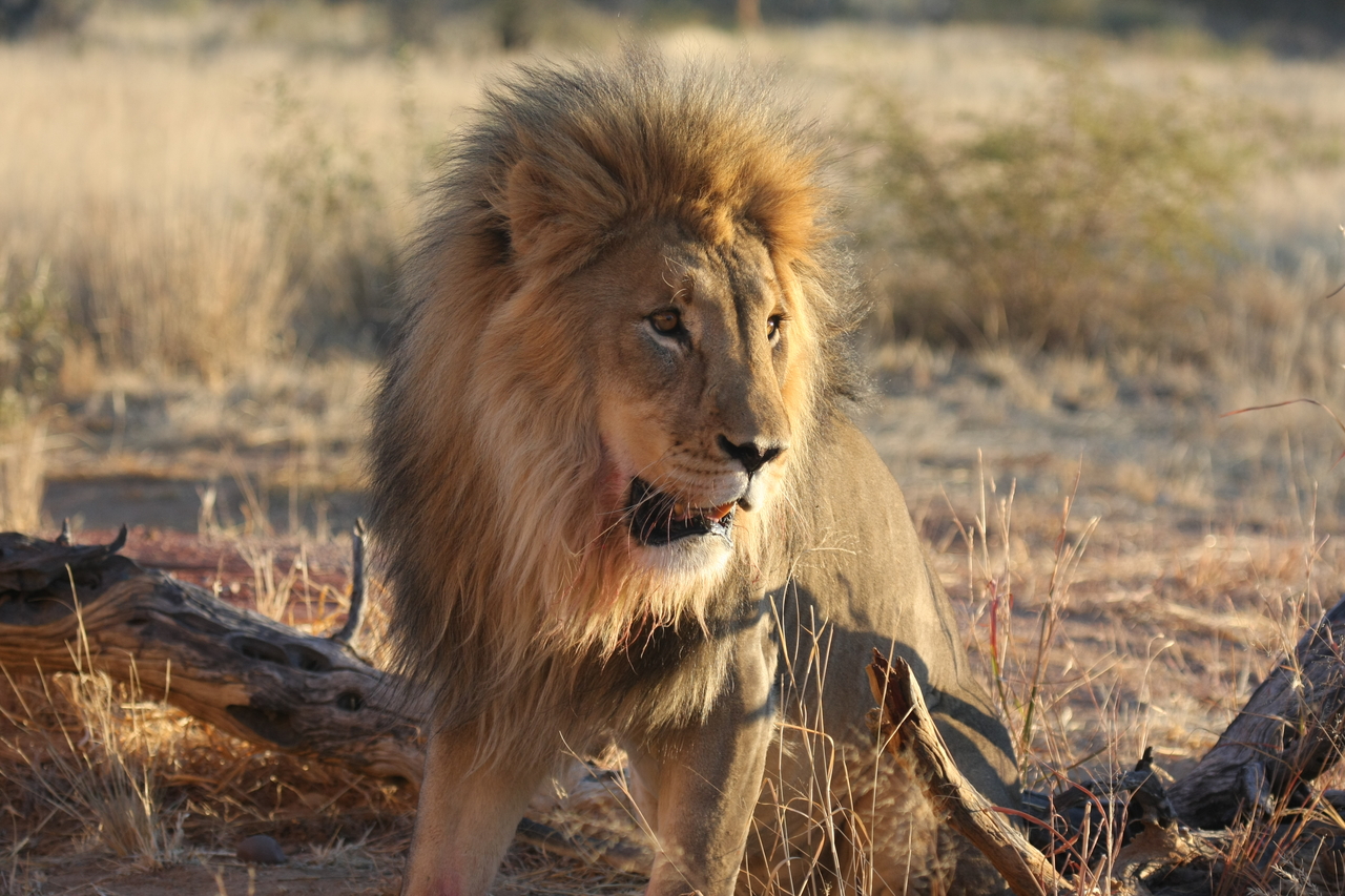 [8491] 2016_06_23_11_54_32_Africa_Canon_EOS_40D_IMG__01775.jpg