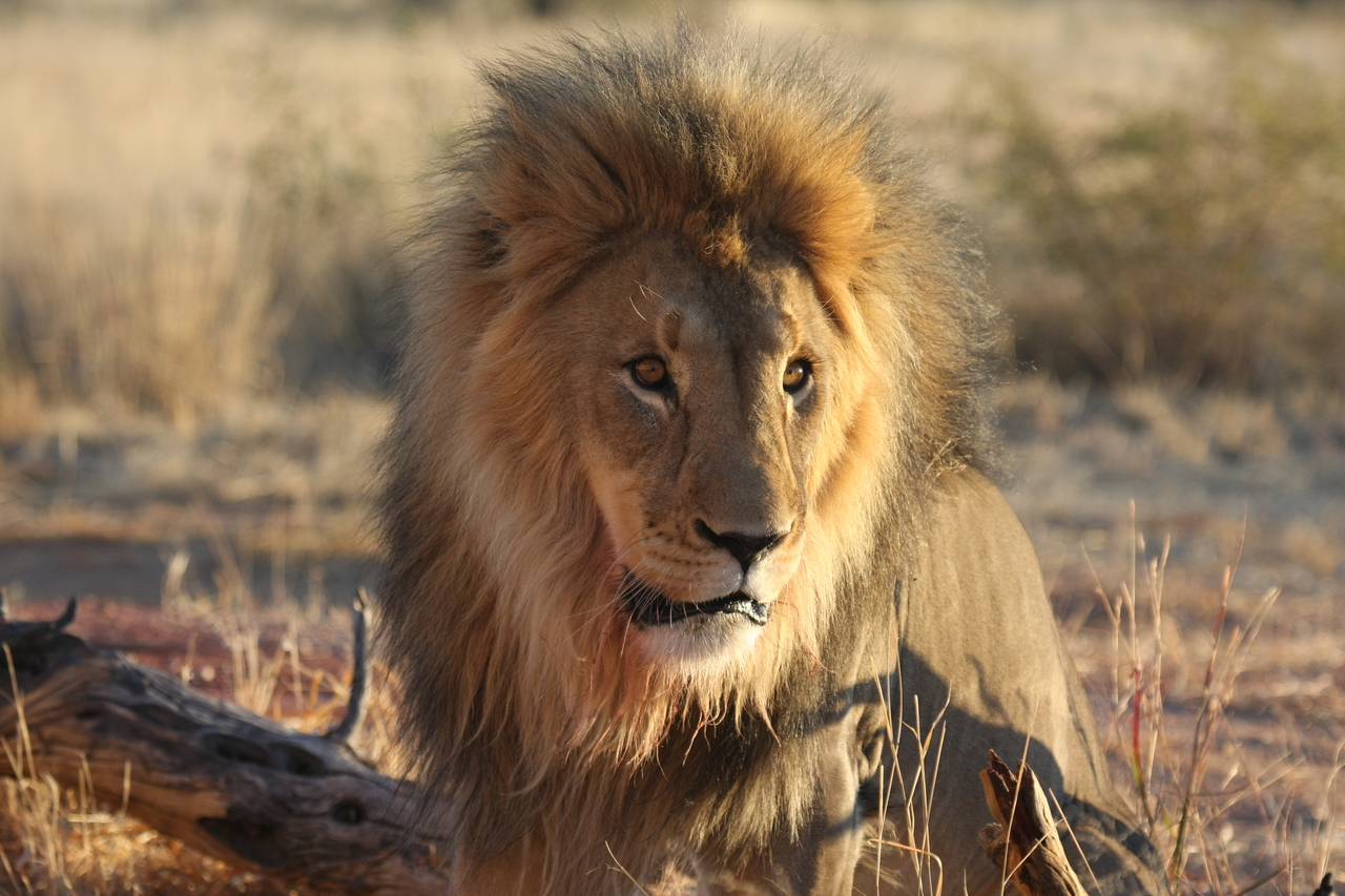 [8629] 2016_06_23_11_55_11_Africa_Canon_EOS_40D_IMG__01820.jpg