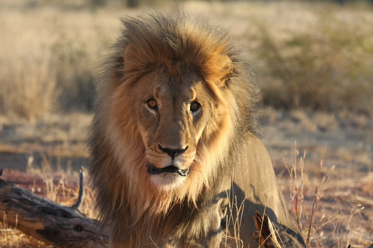 [8640] 2016_06_23_11_55_12_Africa_Canon_EOS_40D_IMG__09272.jpg