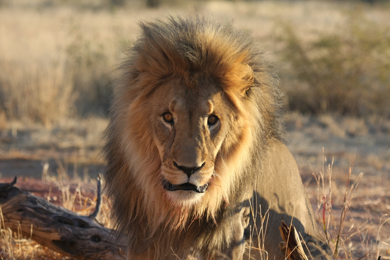 [8642] 2016_06_23_11_55_13_Africa_Canon_EOS_40D_IMG__00993.jpg