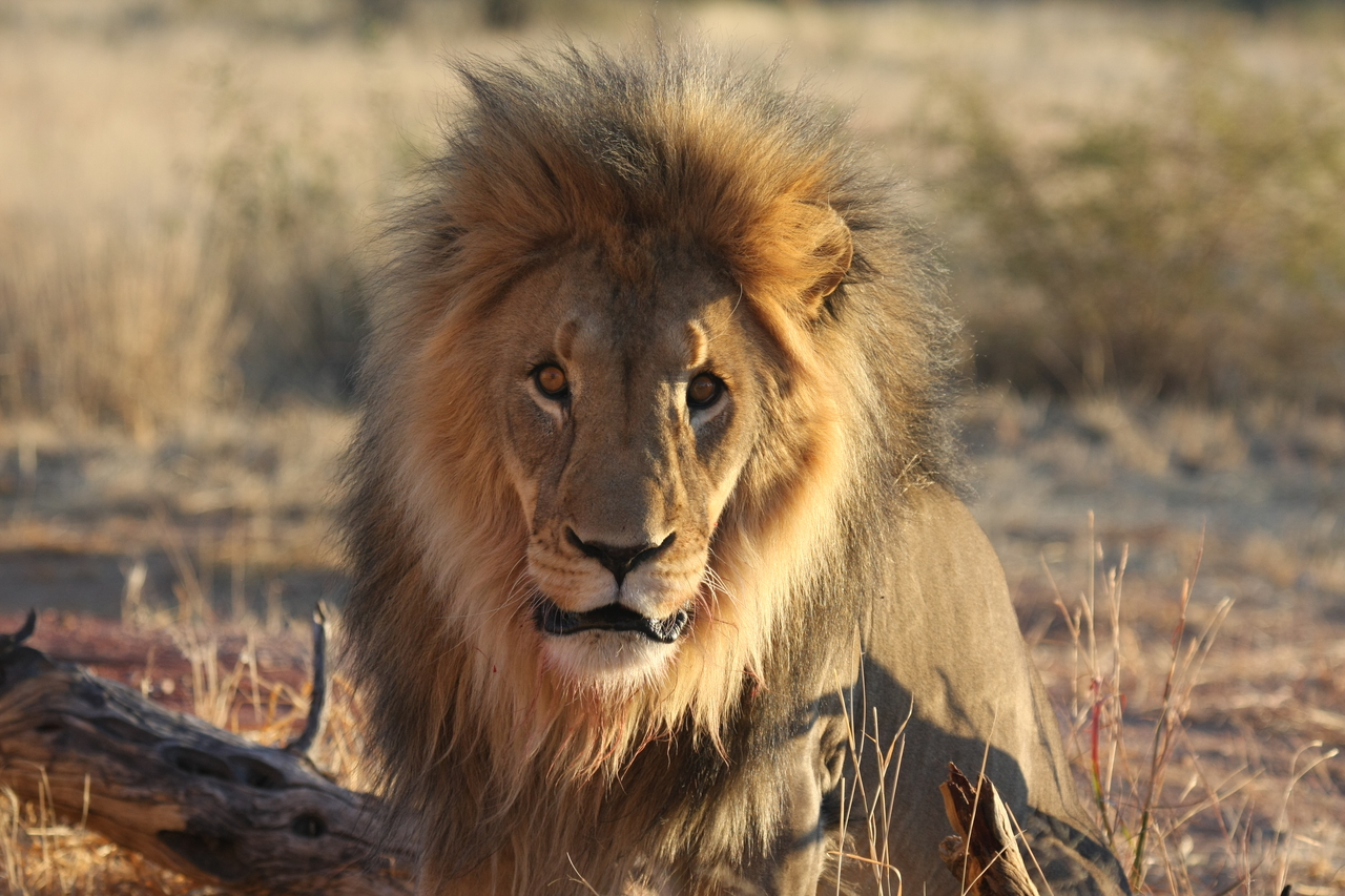 [8644] 2016_06_23_11_55_13_Africa_Canon_EOS_40D_IMG__01826.jpg