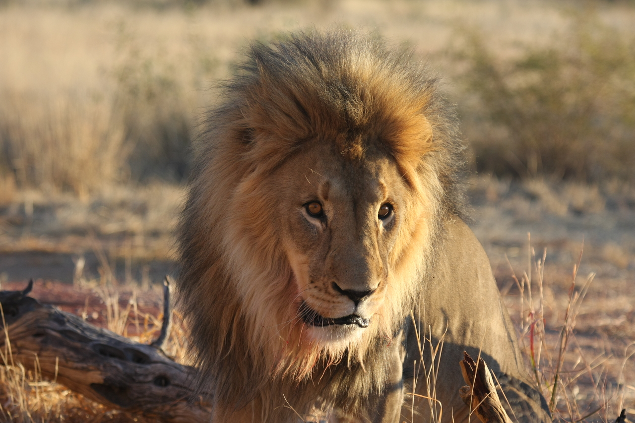 [8653] 2016_06_23_11_55_14_Africa_Canon_EOS_40D_IMG__01830.jpg