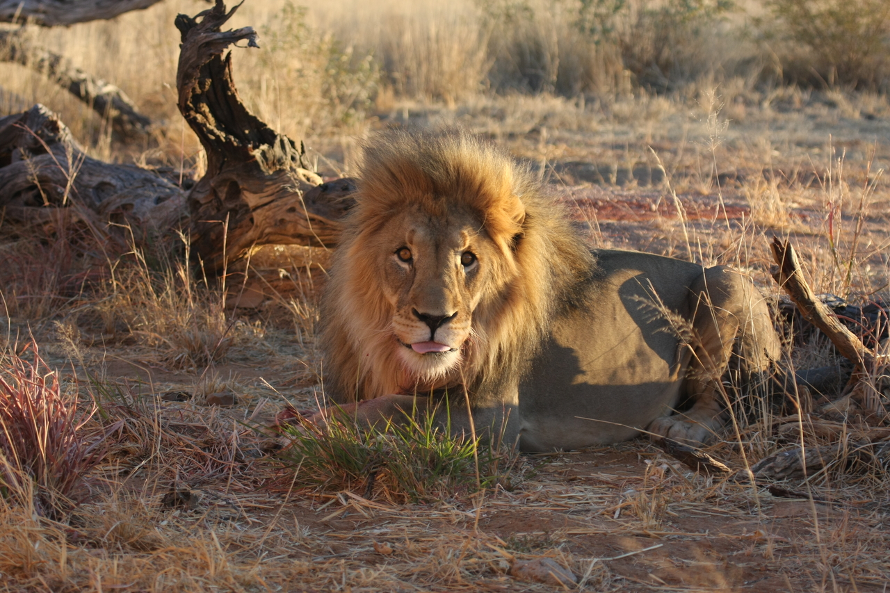 [8669] 2016_06_23_11_55_40_Africa_Canon_EOS_40D_IMG__01001.jpg