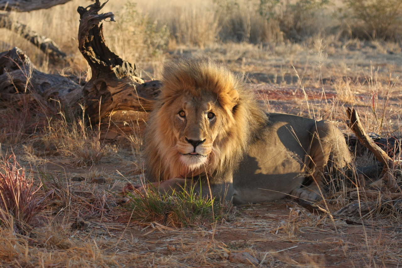 [8677] 2016_06_23_11_55_41_Africa_Canon_EOS_40D_IMG__09284.jpg