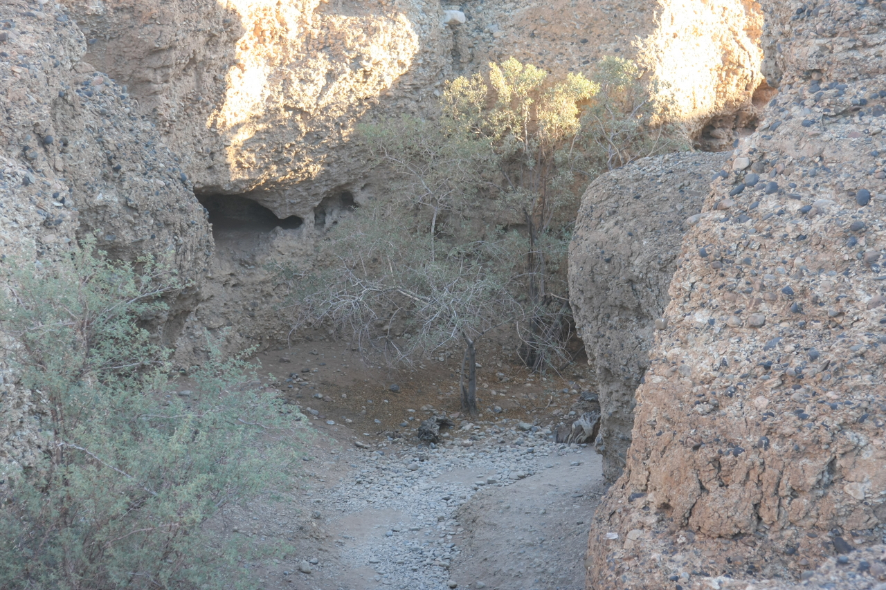 [13853] 2016_06_24_11_32_04_Africa_Canon_EOS_40D_IMG__01991.jpg