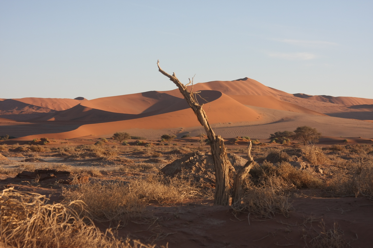 [14685] 2016_06_25_02_20_47_Africa_Canon_EOS_40D_IMG__02073.jpg